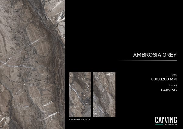 Ambrosia Grey - Image 2