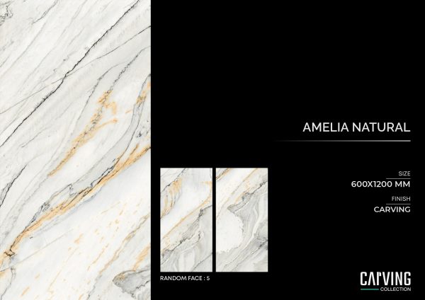 Amelia Natural - Image 2