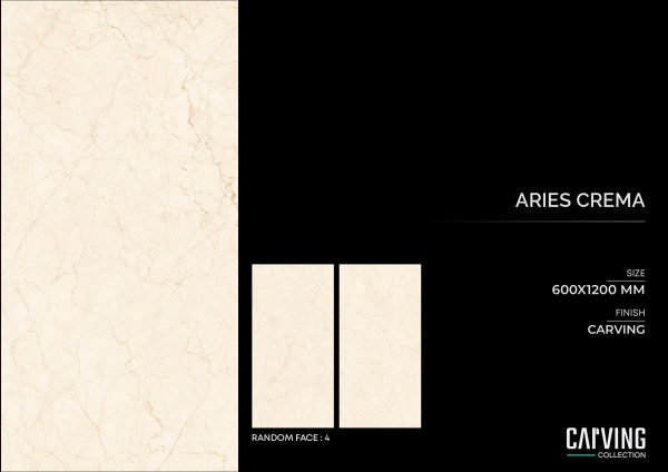 Aries Crema - Image 3