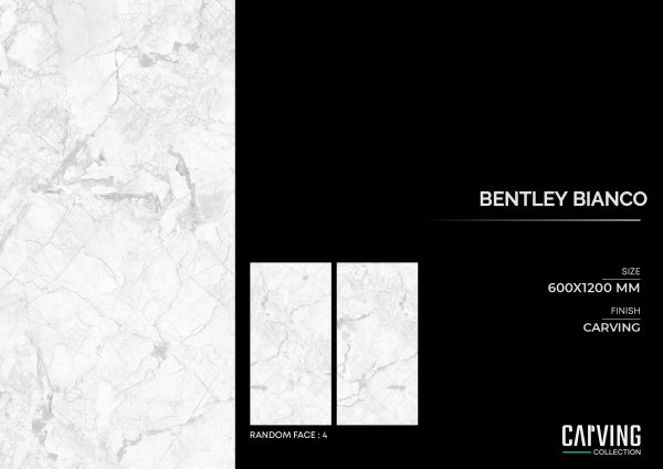 Bentley Bianco - Image 2