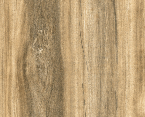 Chestnut Beige