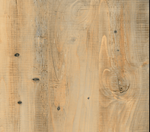 Cinnamon Wood Coral