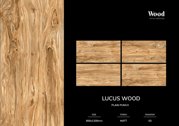 Lucus Wood - Image 2