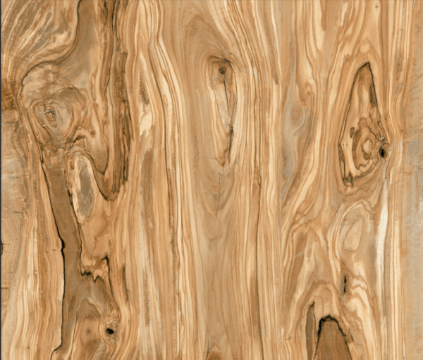 Lucus Wood